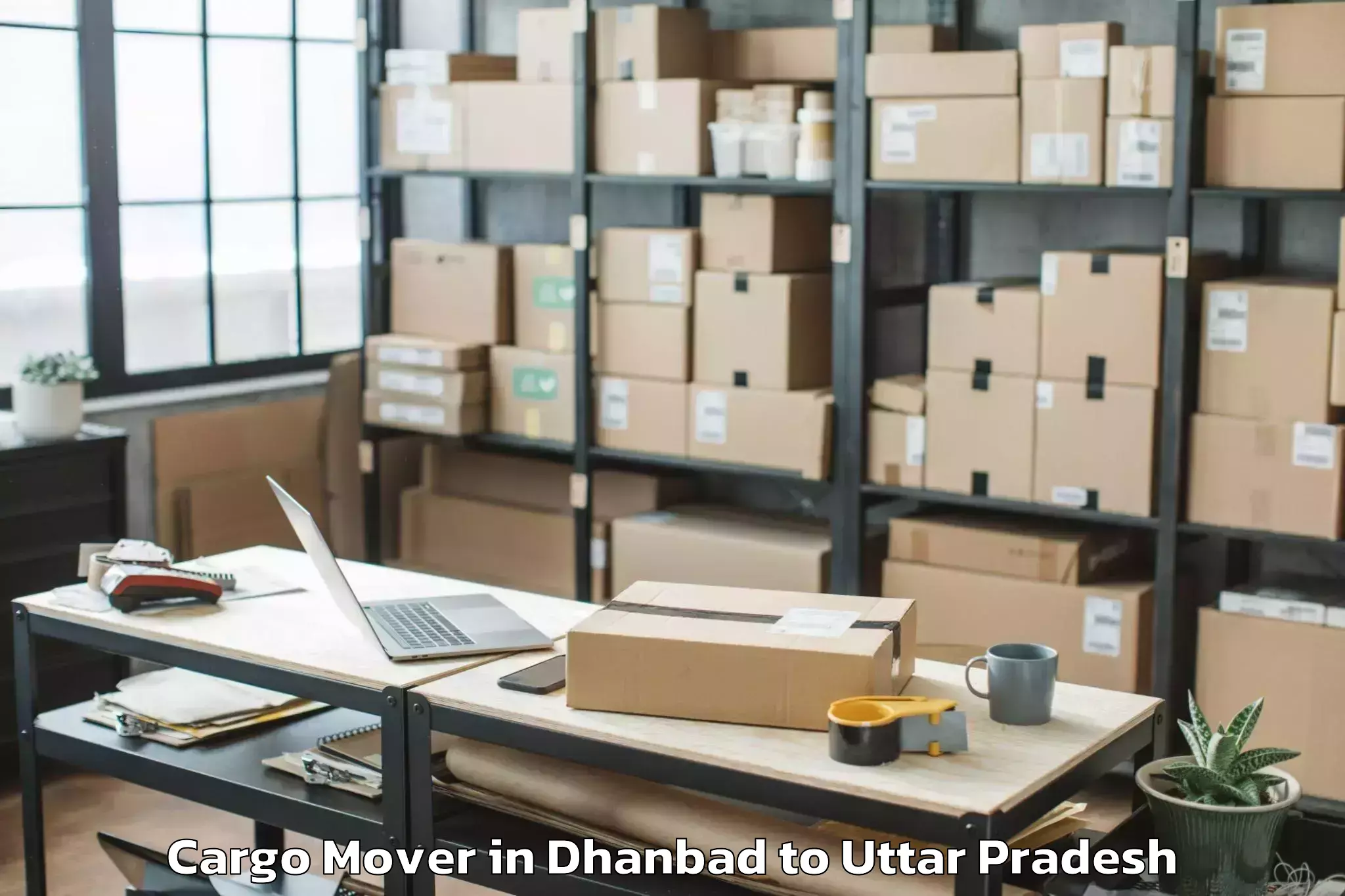 Book Dhanbad to Phoolpur Cargo Mover Online